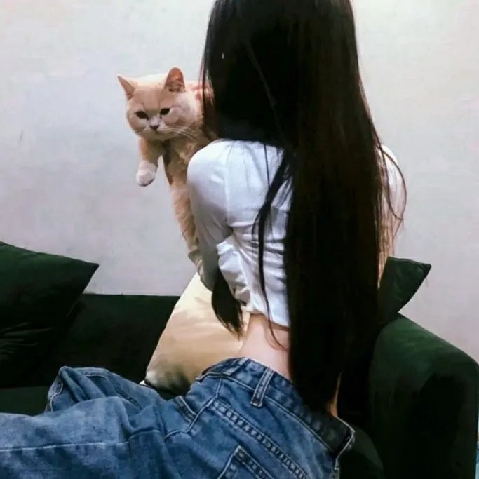 哈瓦那的吸血鬼